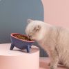 Raised Tilted Elevated Cat Food Bowl Pet Backflow Prevention Water Dish Feeding Bowl For Cats Small Dogs