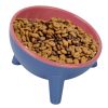 Raised Tilted Elevated Cat Food Bowl Pet Backflow Prevention Water Dish Feeding Bowl For Cats Small Dogs