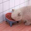 Raised Tilted Elevated Cat Food Bowl Pet Backflow Prevention Water Dish Feeding Bowl For Cats Small Dogs