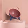 Raised Tilted Elevated Cat Food Bowl Pet Backflow Prevention Water Dish Feeding Bowl For Cats Small Dogs