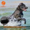 990Ft Radius Dog Training Collar Wireless Fence Ipx6 Waterproof Pet Beep Vibration Electric Shock Fence System 3 Channels Rechargeable Transmitter Rec